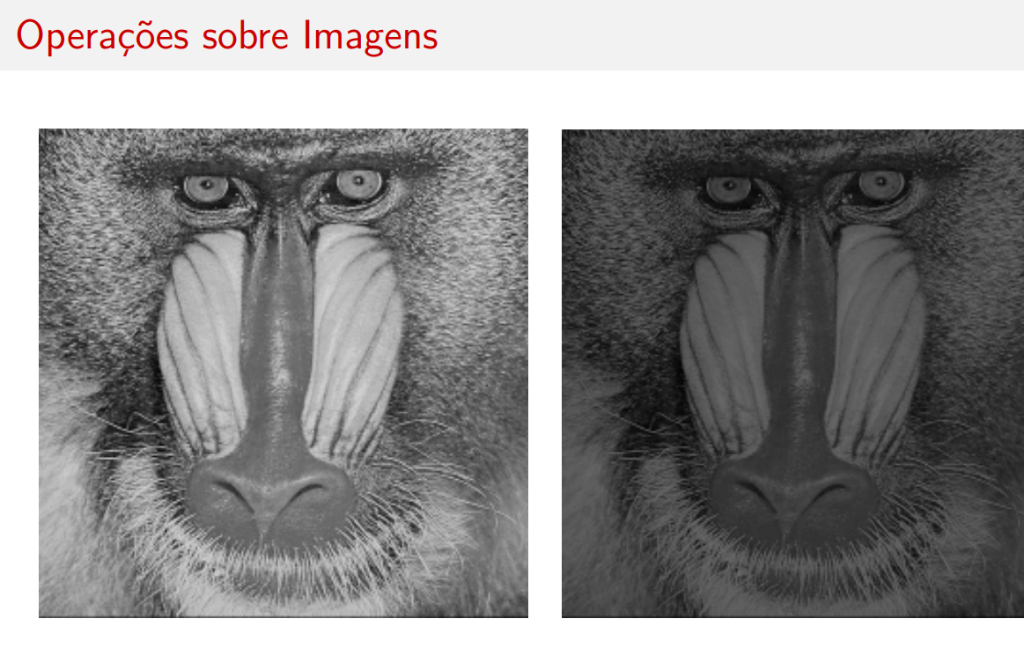 Resultado multiplicação por escalar