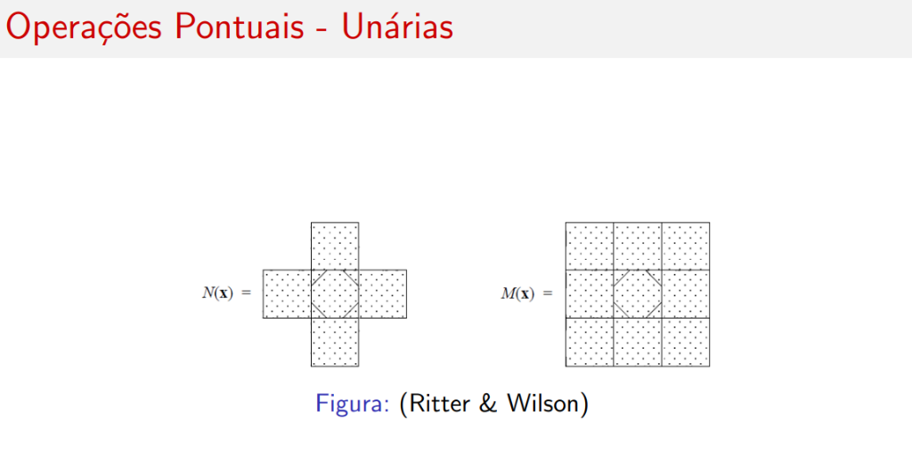 Vizinhanças de von Neumann e Moore (Ritter & Wilson)